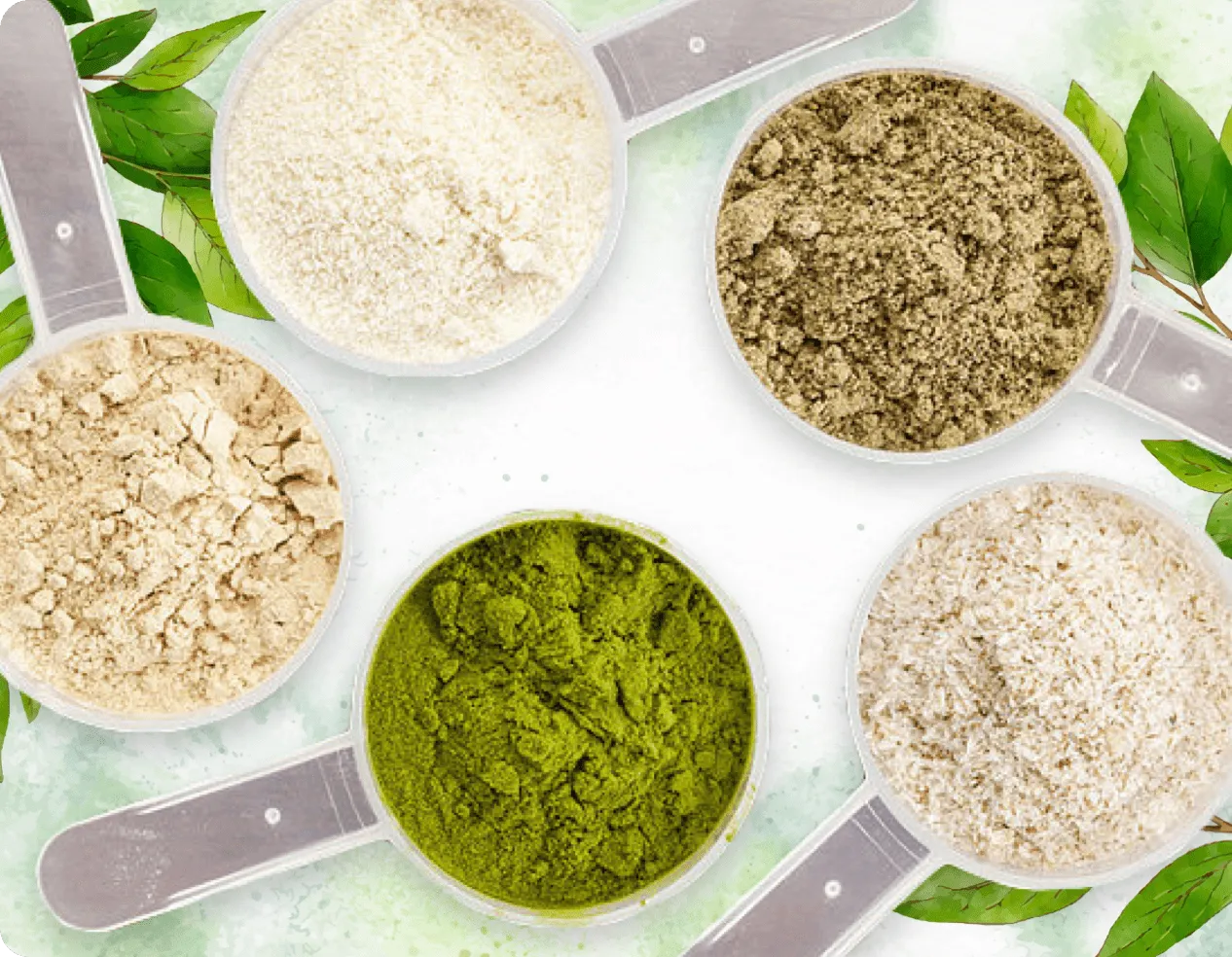 ProDentim Ingredient 4